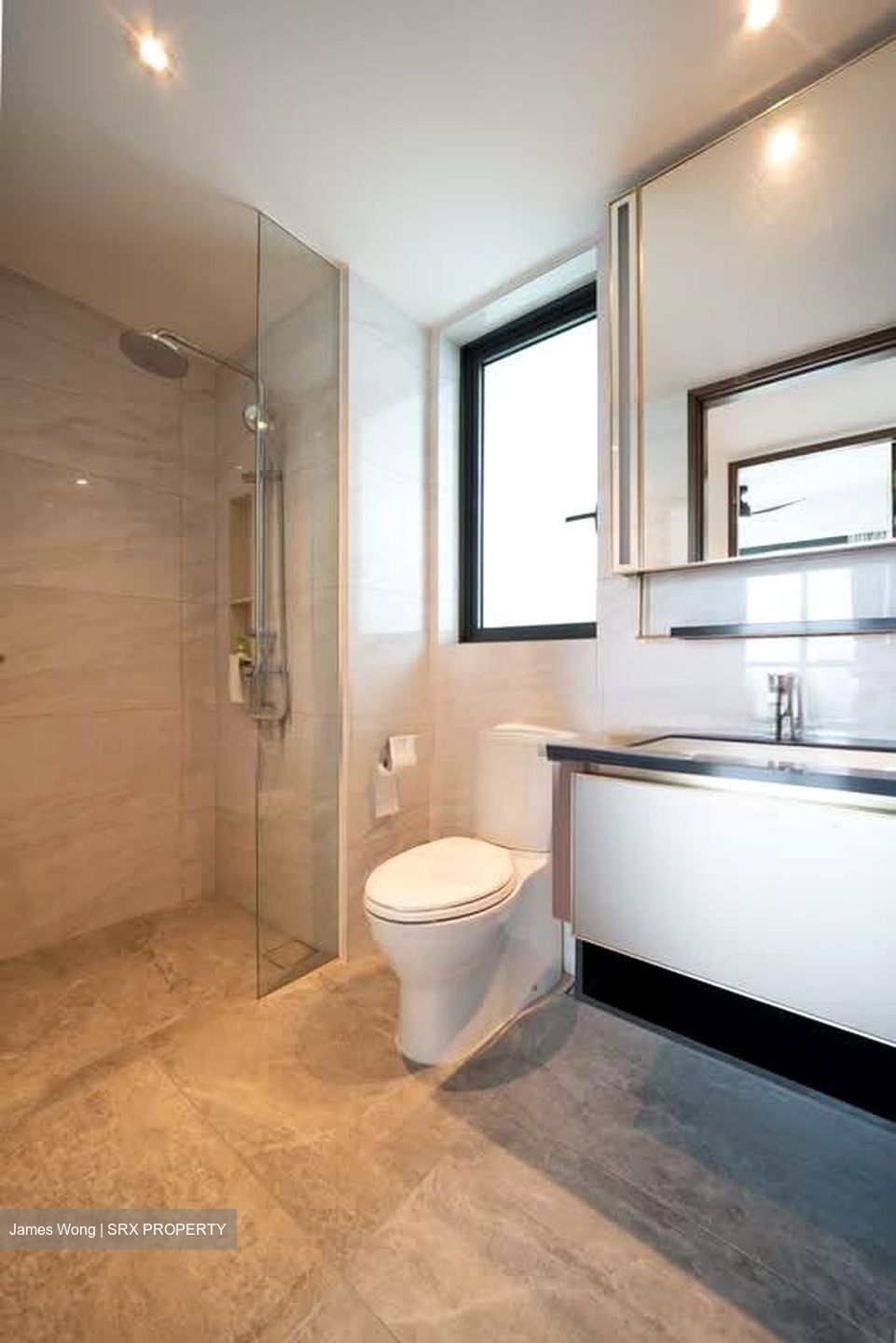 Normanton Park (D5), Apartment #543328691
